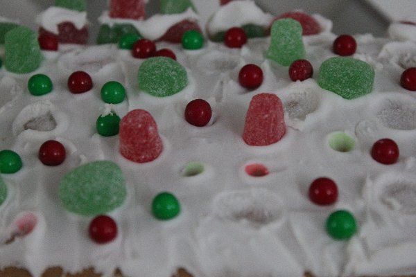 New Camera Dec2010 384